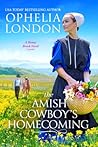 The Amish Cowboy’s Homecoming (Honey Brook #2)