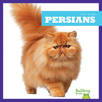 Persians (Bullfrog Books: Cat Club)