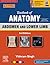 Textbook of Anatomy: Abdomen and Lower Limb, Vol 2, 3rd Updated Edition - eBook