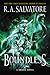 Boundless: A Riveting Adventure with Drizzt Do'urden in a New Era of Forgotten Realms (Generations, 2)