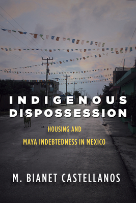 Indigenous Dispossession: Housing and Maya Indebtedness in Mexico (Hardcover)