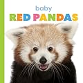 Baby Red Pandas