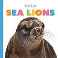 Baby Sea Lions