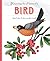 Knowing the Name of a Bird by Jane Yolen
