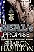 SEAL's Promise ( Bad Boys of SEAL Team 3, #1)