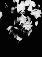 loathing is a kind of magic too (ebook)