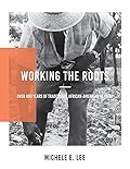 Working The Roots: Over 400 Years of Traditional African American Healing
