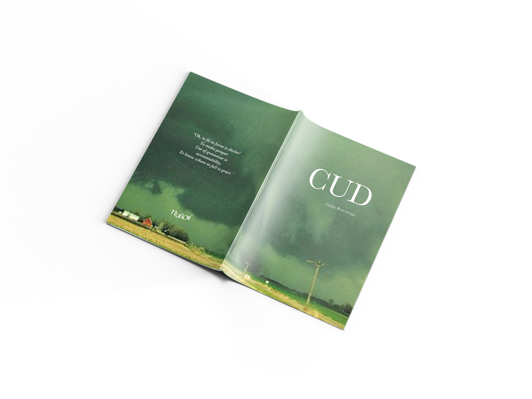 CUD (Paperback)