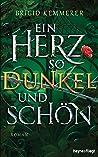 Ein Herz so dunkel und schön by Brigid Kemmerer