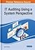 IT Auditing Using a System Perspective
