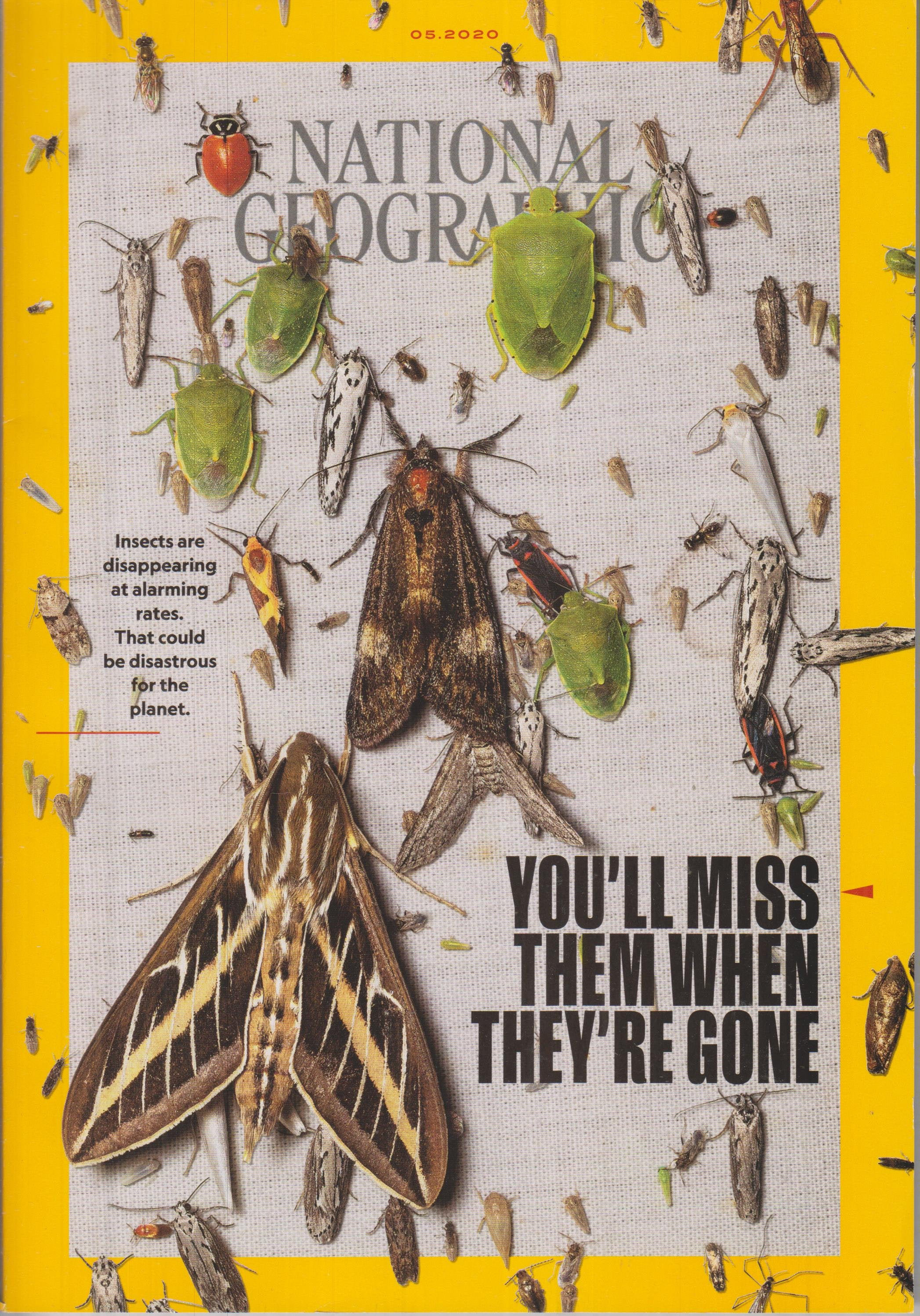 You'll Miss Them When They're Gone (Paperback)