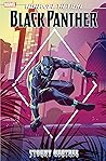 Marvel Action: Black Panther, Vol. 1: Stormy Weather Marvel Action: Black Panther, Vol. 1: Stormy Weather