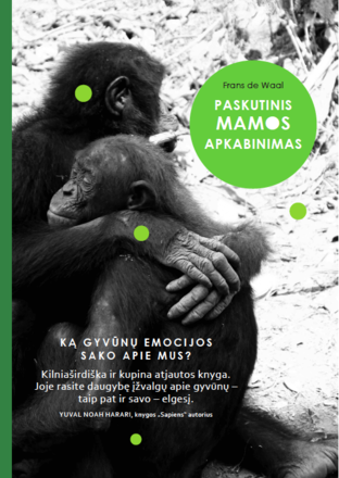 Capa do Livro Paskutinis mamos apkabinimas