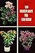 128 Houseplants You Can Grow