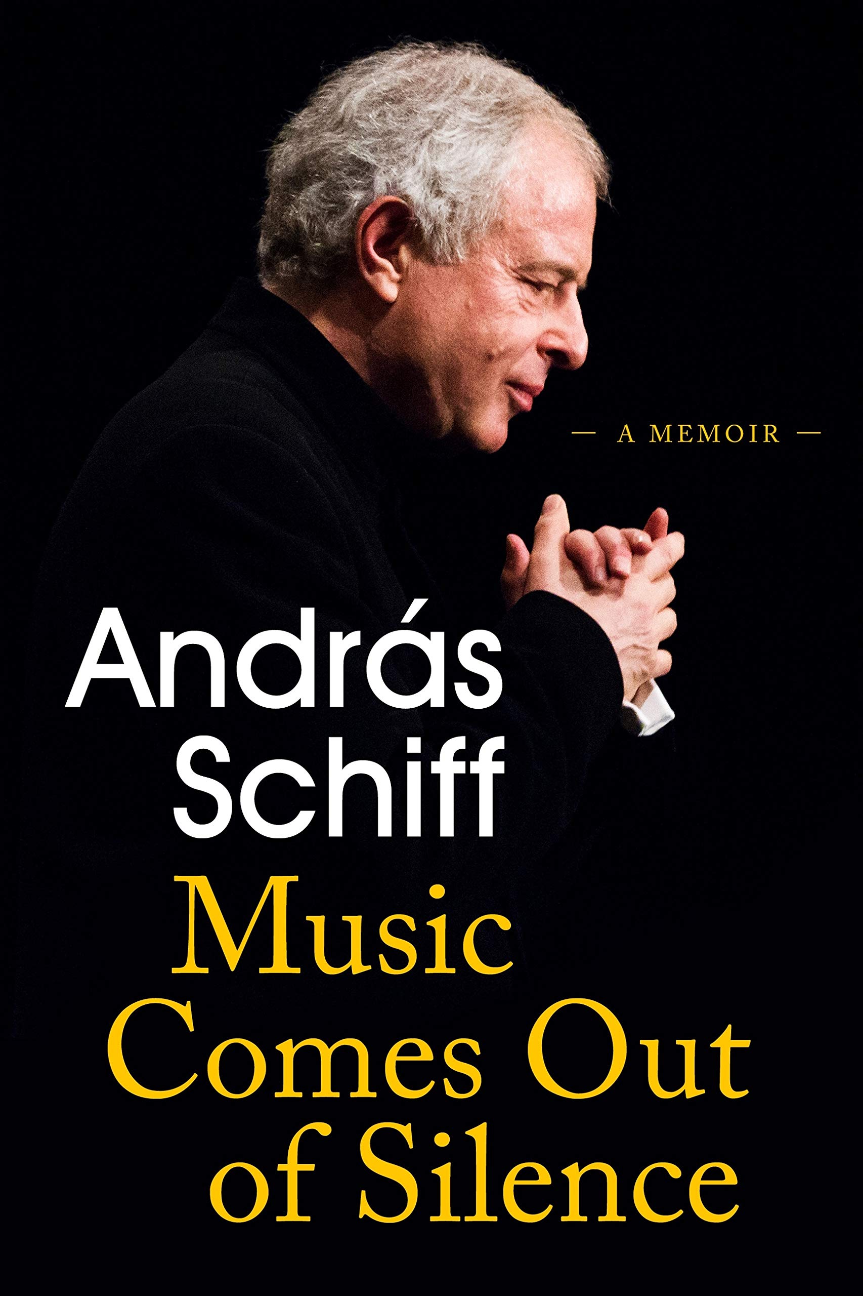 Music Comes Out of Silence (Hardcover)