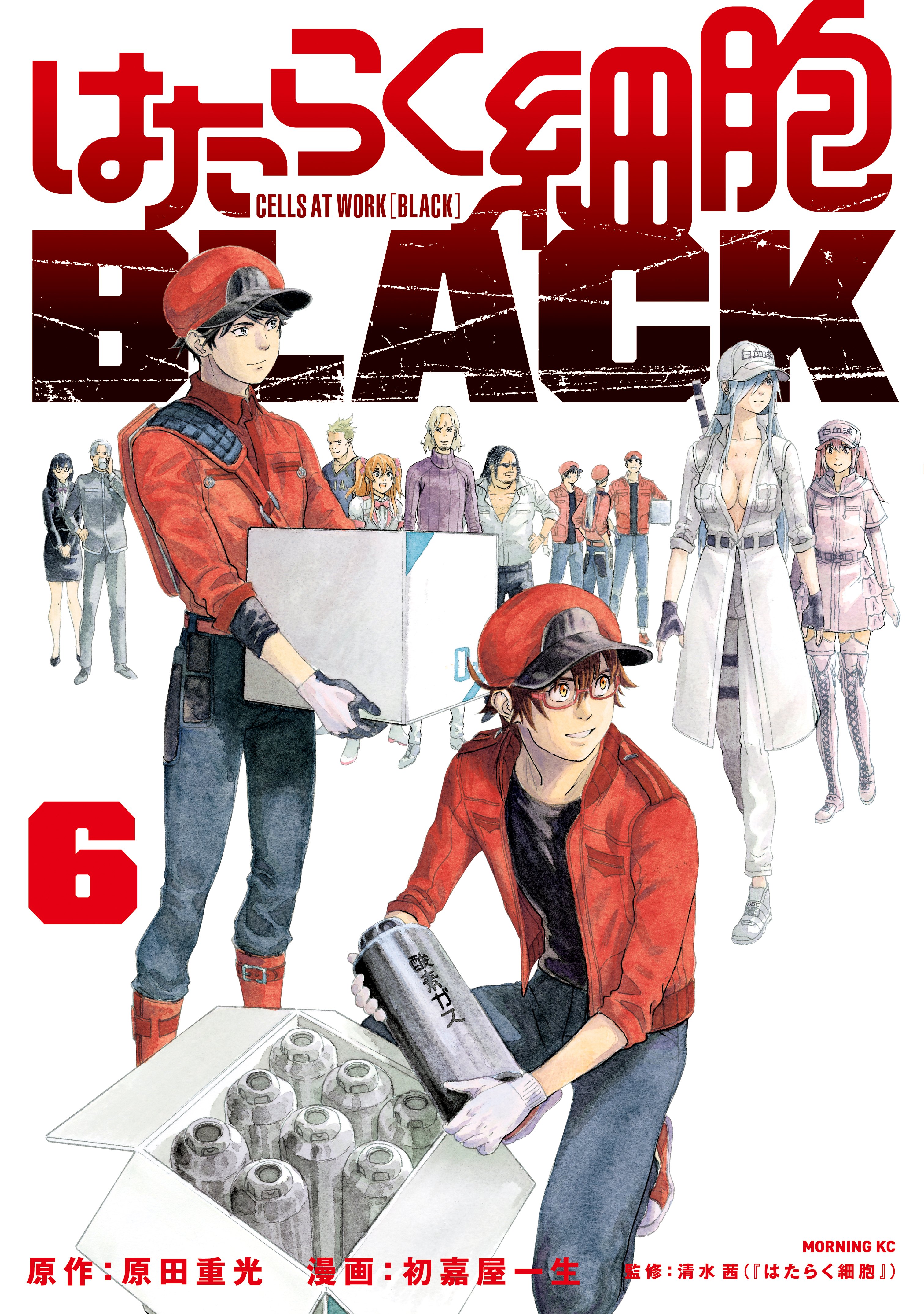 はたらく細胞BLACK 6 [Hataraku Saibou BLACK 6] (Cells at Work CODE BLACK, #6)