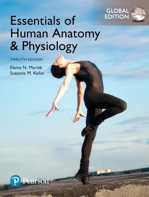 Essentials of Human Anatomy & Physiology