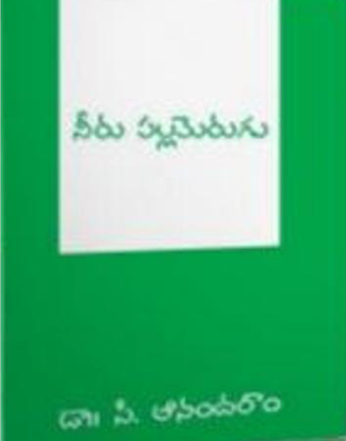 Neeru Pallamerugu (నీరు పల్లమెరుగు)