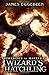 Wizard's Hatchling (Apprentice to Master, #4)