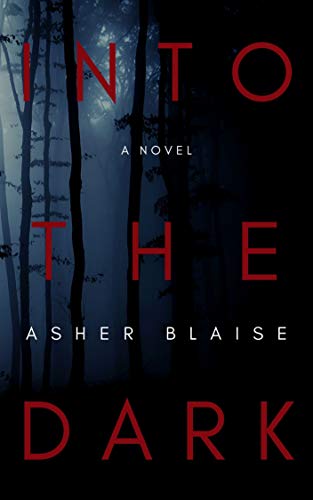Into The Dark (Kindle Edition)