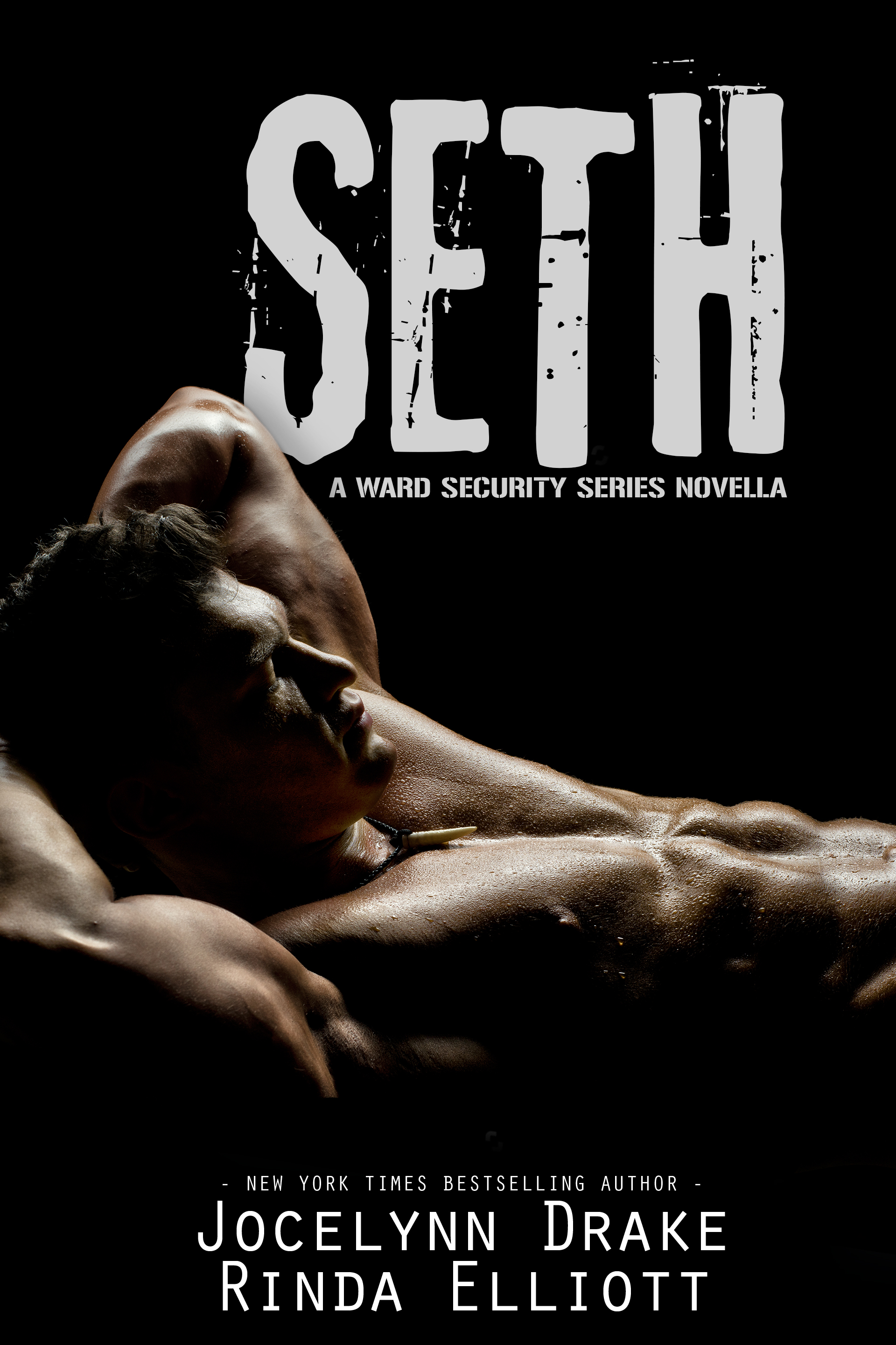 Seth (Ward Security #5.5)