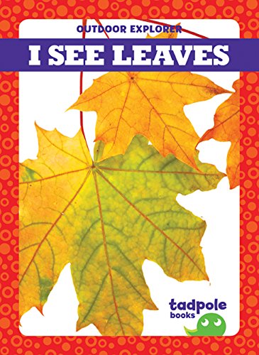 I See Leaves (Tadpole Books: Outdoor Explorer)