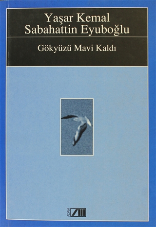 Gökyüzü Mavi Kaldı (Paperback)