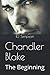 Chandler Blake: The Beginning
