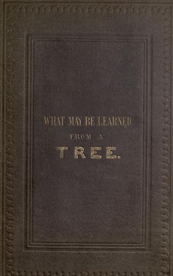 What May Be Learned from a Tree (Hardcover)