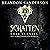 Schatten über Elantel (Mistborn, #5)