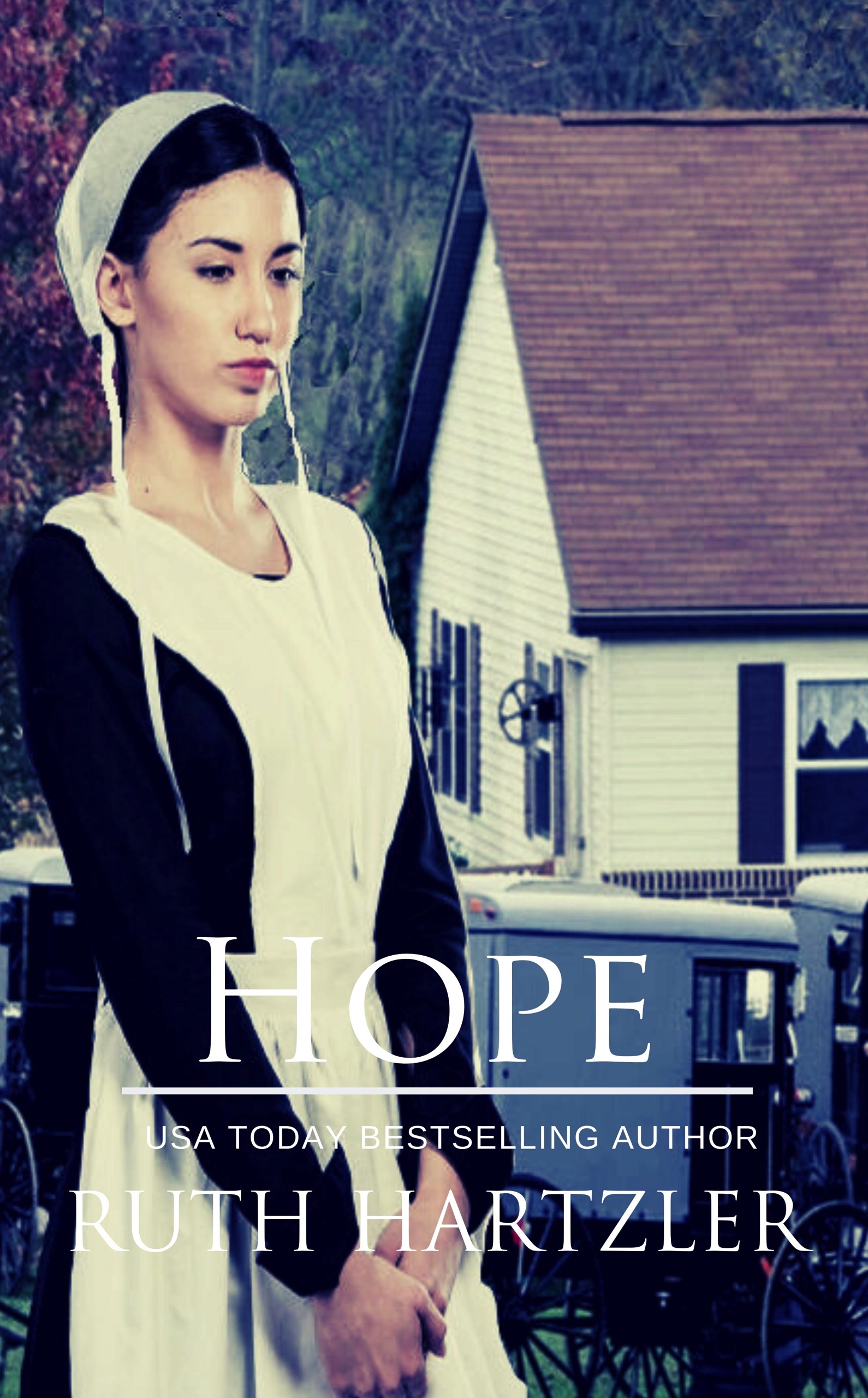 Hope (The Amish Buggy Horse, #2)