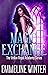 Magic Exchange (The Velkin Royal Academy, #1)