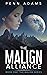 The Malign Alliance