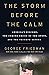 The Storm Before the Calm by George Friedman