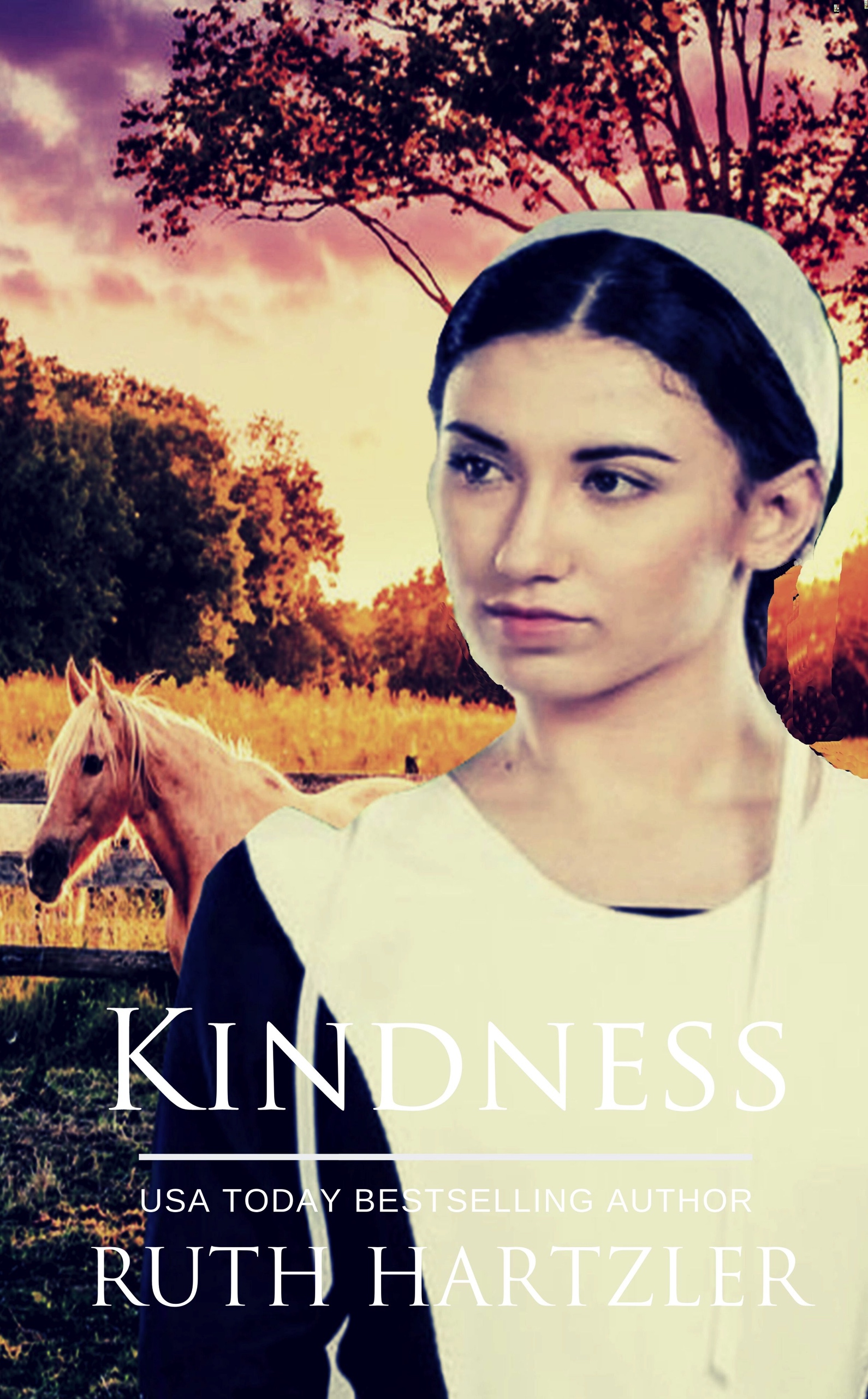 Kindness (The Amish Buggy Horse, #5)
