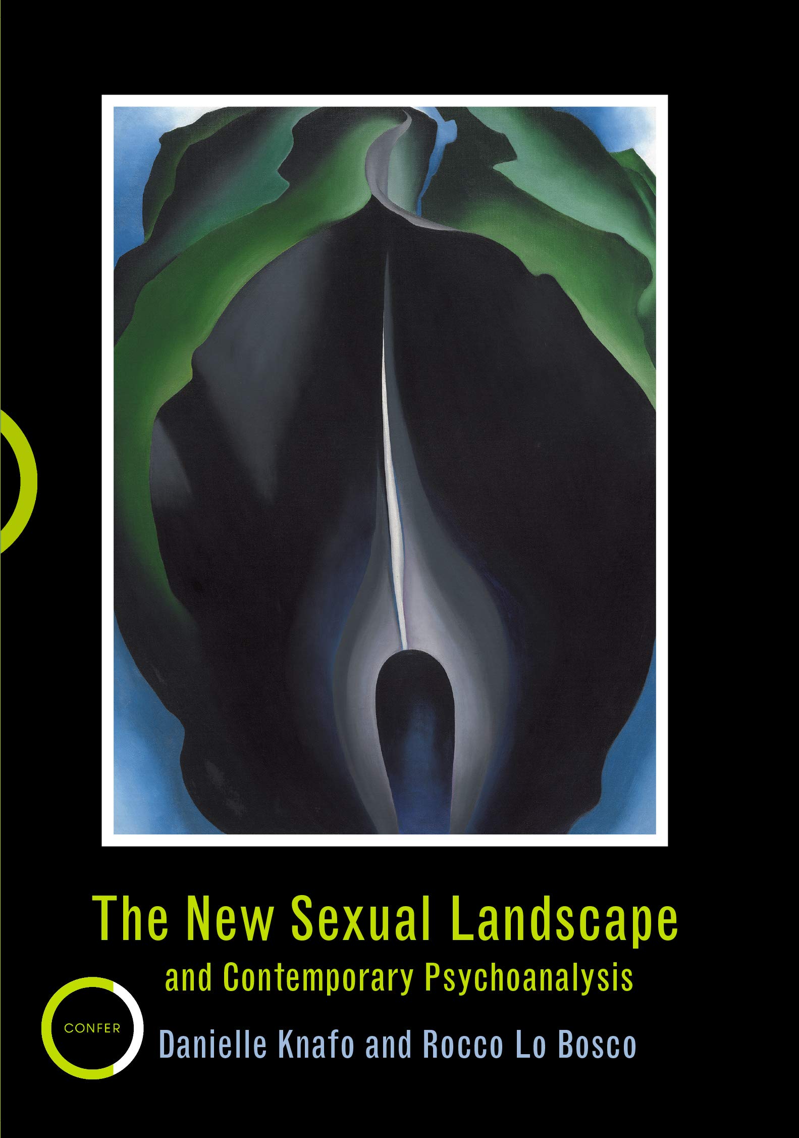 The New Sexual Landscape and Contemporary Psychoanalysis (Paperback)