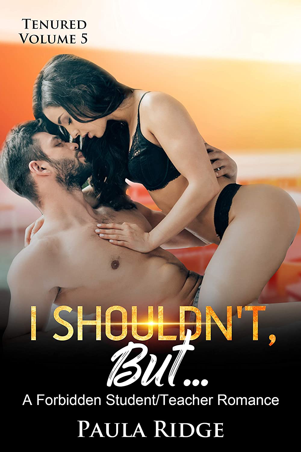I Shouldn't, But...(Tenured Book 5)