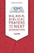 Big, Bold, Biblical Prayers for the Next Generation by David      Michael
