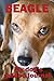 Beagle My dog's guided jour...