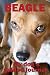 Beagle My dog's guided journal by Magus Beales