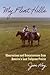 My Flint Hills: Observations and Reminiscences from America's Last Tallgrass Prairie