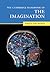 The Cambridge Handbook of the Imagination (Cambridge Handbooks in Psychology)