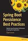 Spring Boot Persi...