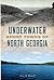 Underwater Ghost Towns of North Georgia (Lost)