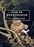 God of Nothingness: Poems