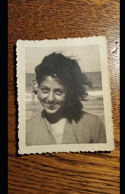 The White Pocketbook: World War Two in Belgium and one indignant young girl's push back against Hitler