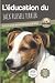 L'ÉDUCATION DU JACK RUSSELL...