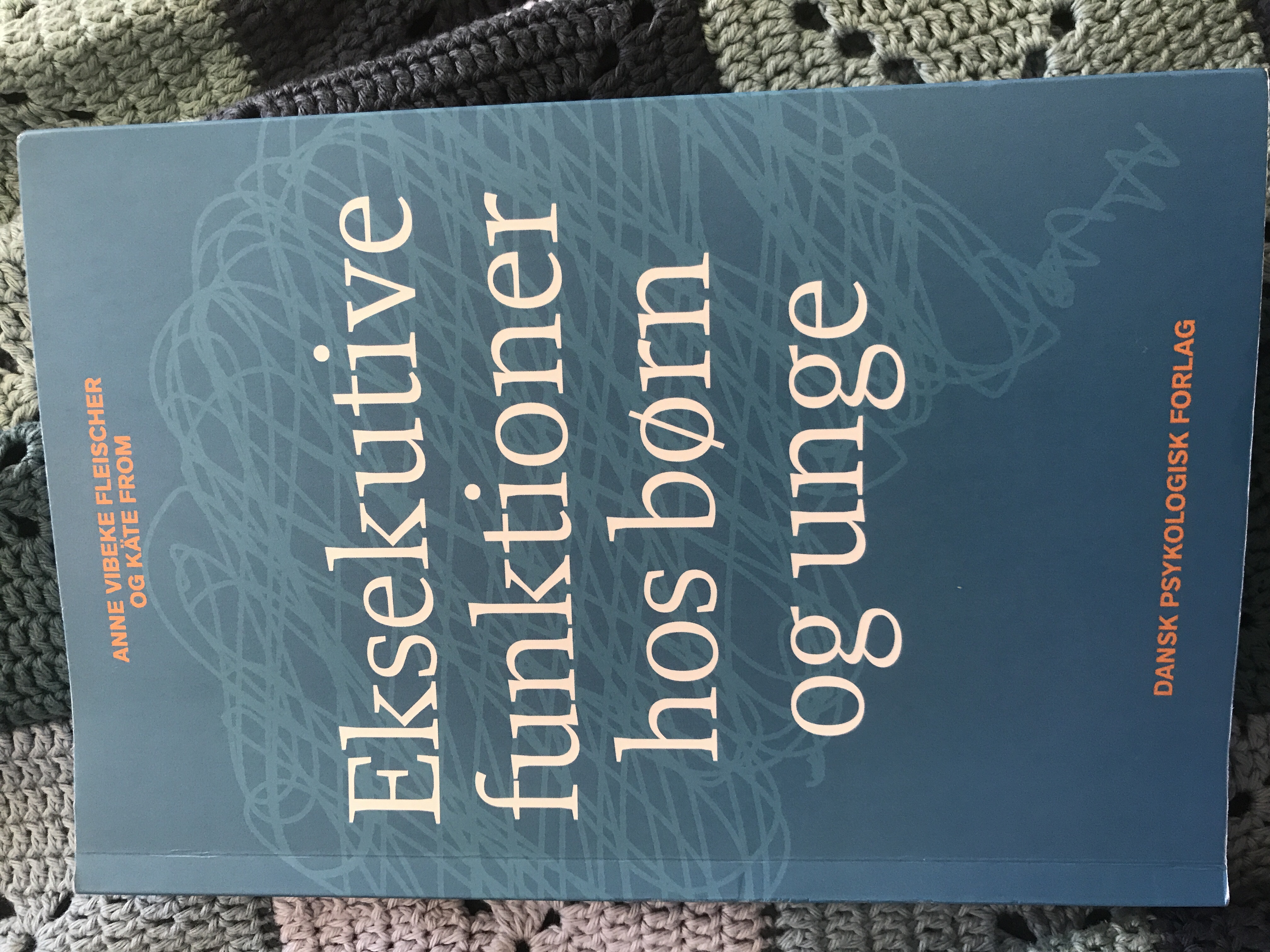 Eksekutive funktioner hos børn og unge