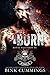 Switch & Burn (Royal Bastar...