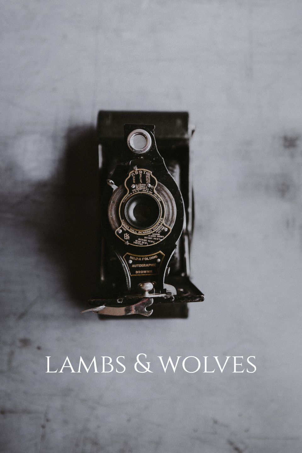 Lambs & Wolves (Webserial)
